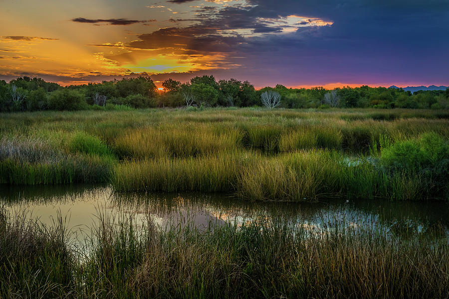 East Wetlands Sunrise Photograph by TM Schultze