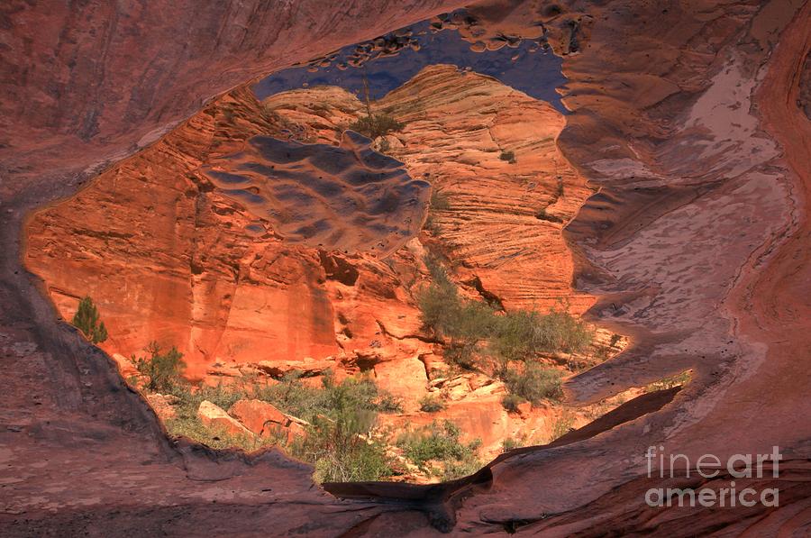 East Zion Abstract Reflections Photograph by Adam Jewell