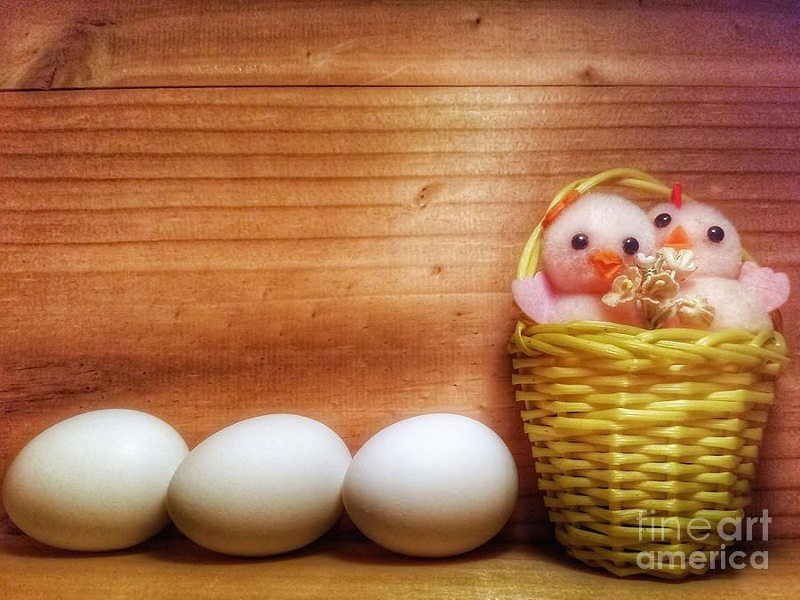 Easter Basket of Pink Chicks with Eggs Photograph by Mary Capriole