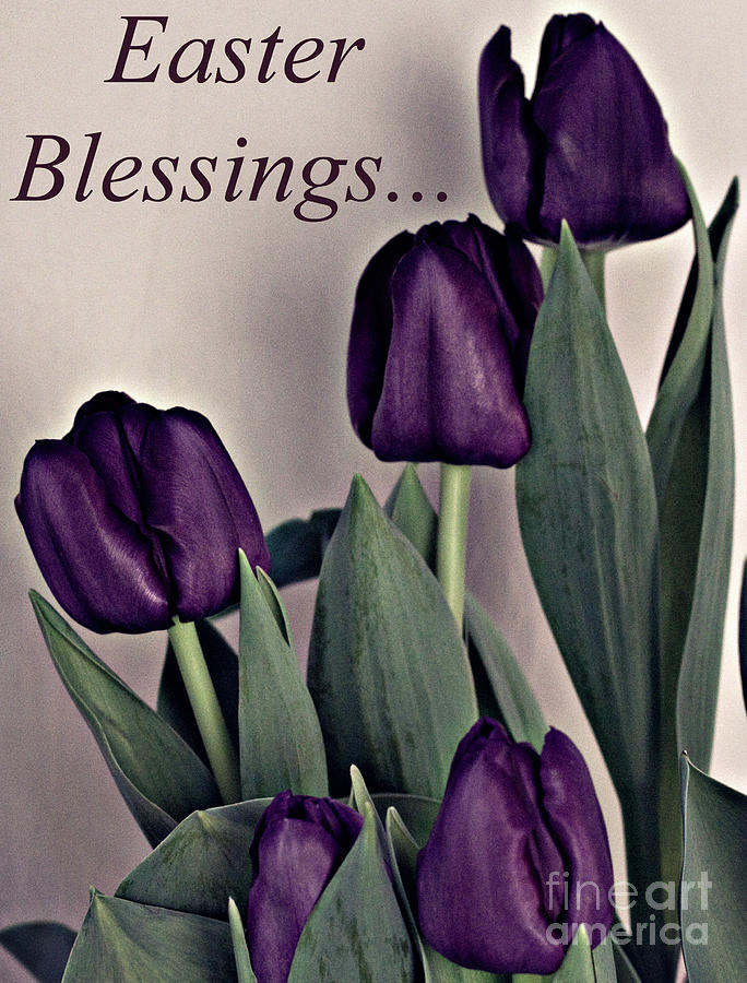 Easter Blessings No.1 Photograph by Sherry Hallemeier