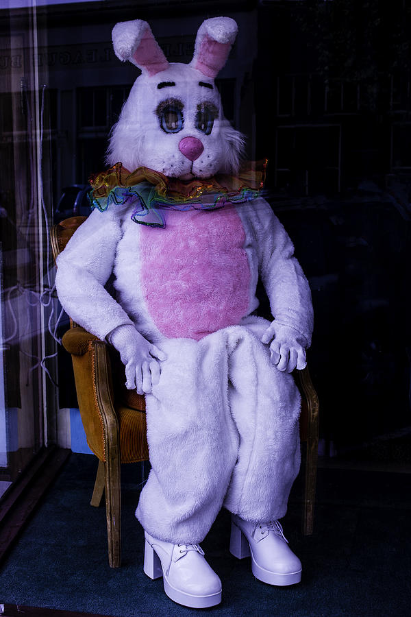 Easter Bunny Costume  Photograph by Garry Gay