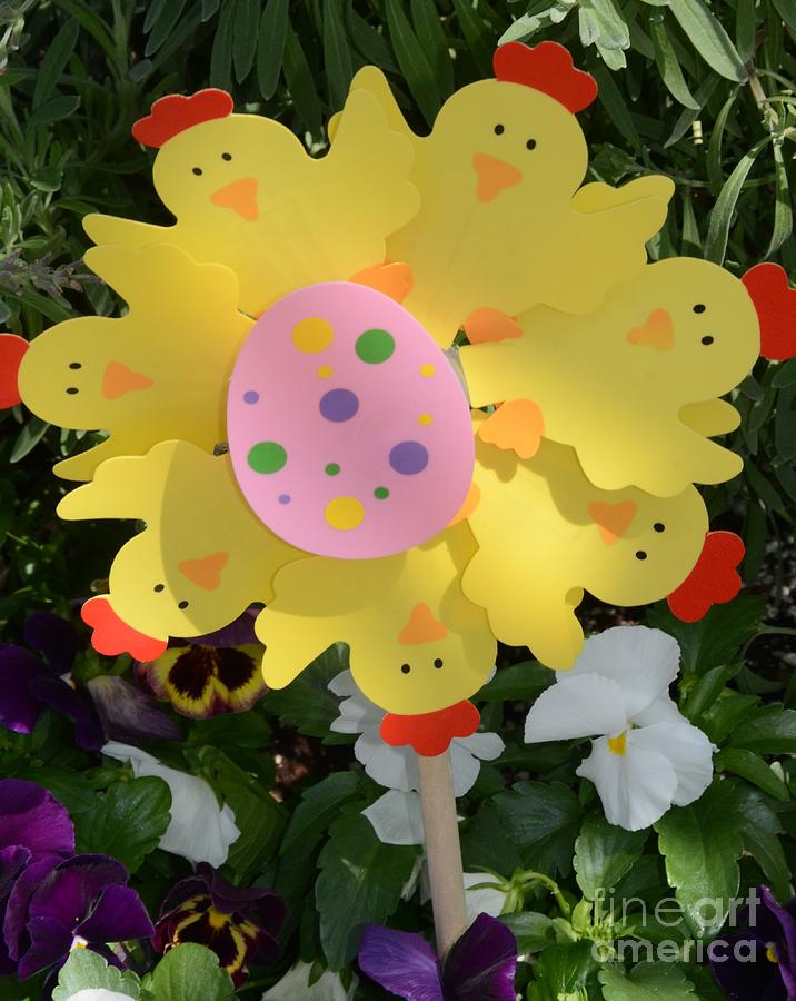 Easter Chick Decoration Photograph