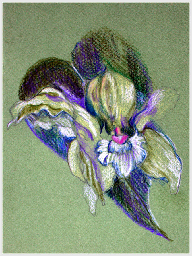 Easter Corsage Drawing by Mindy Newman