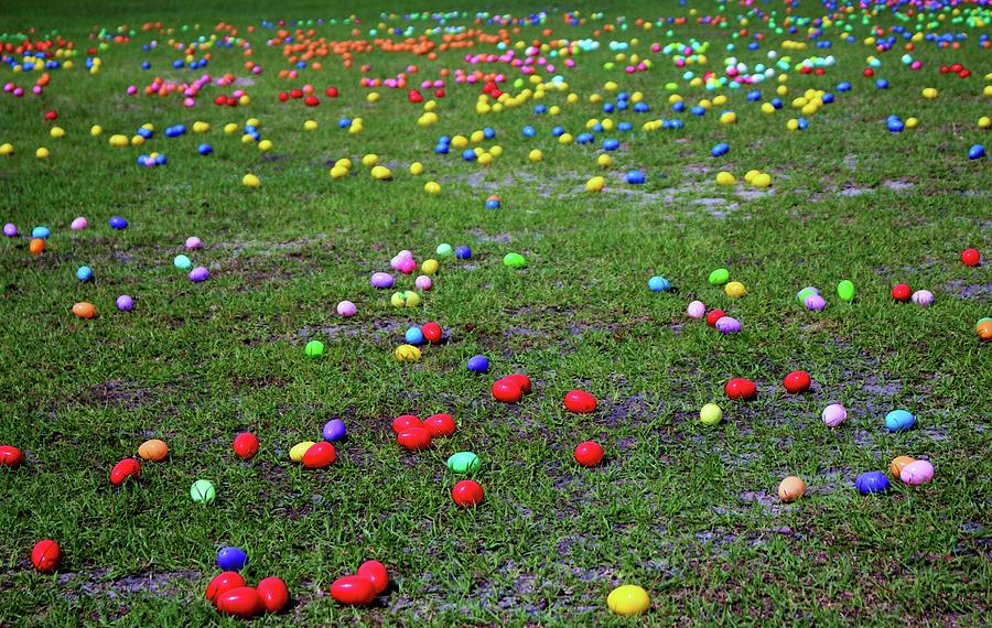 Easter Egg Hunt Photograph by Cynthia Guinn