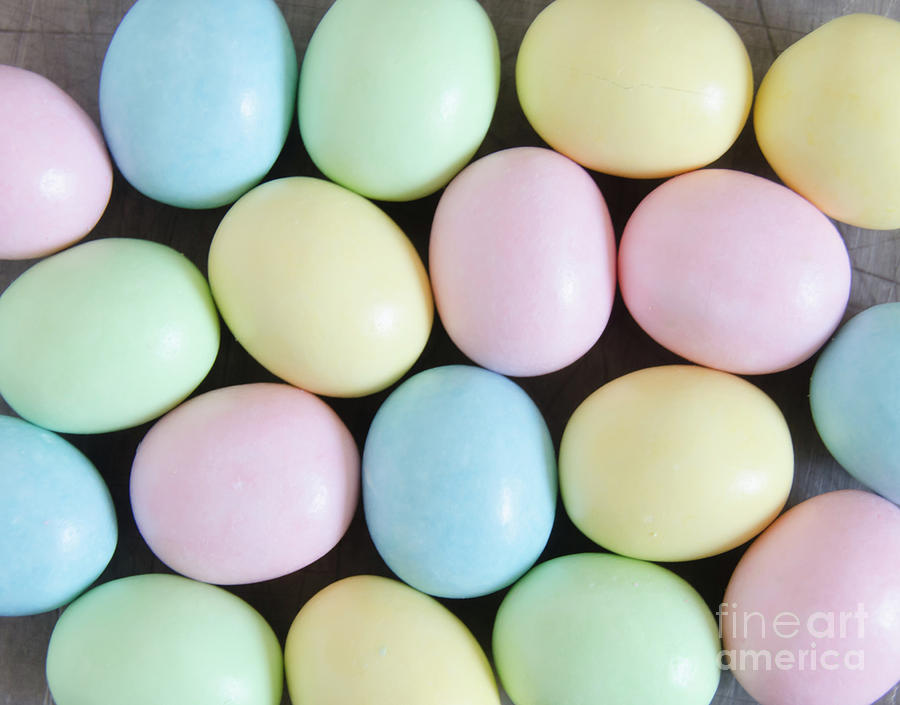 Easter Eggs 11 Photograph by Andrea Anderegg