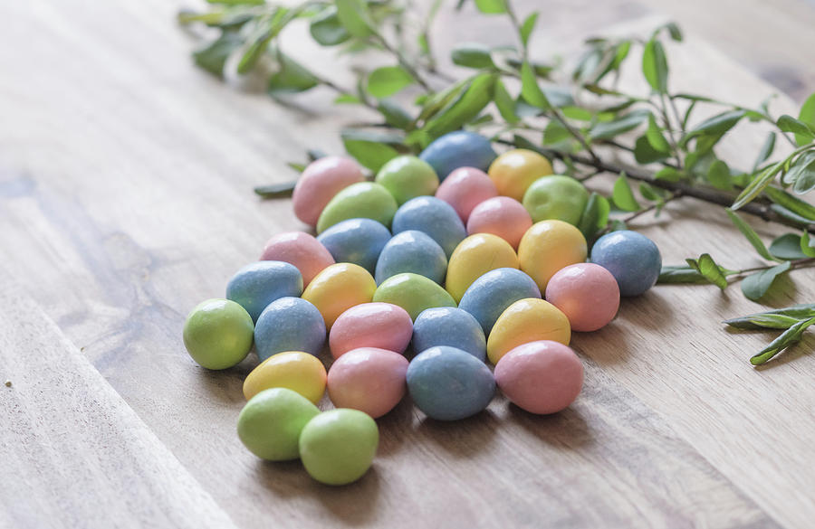 Easter Eggs 19 Photograph by Andrea Anderegg
