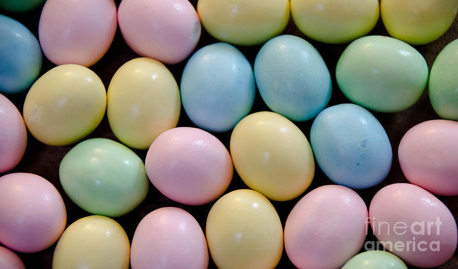 Easter Eggs 2 Photograph by Andrea Anderegg