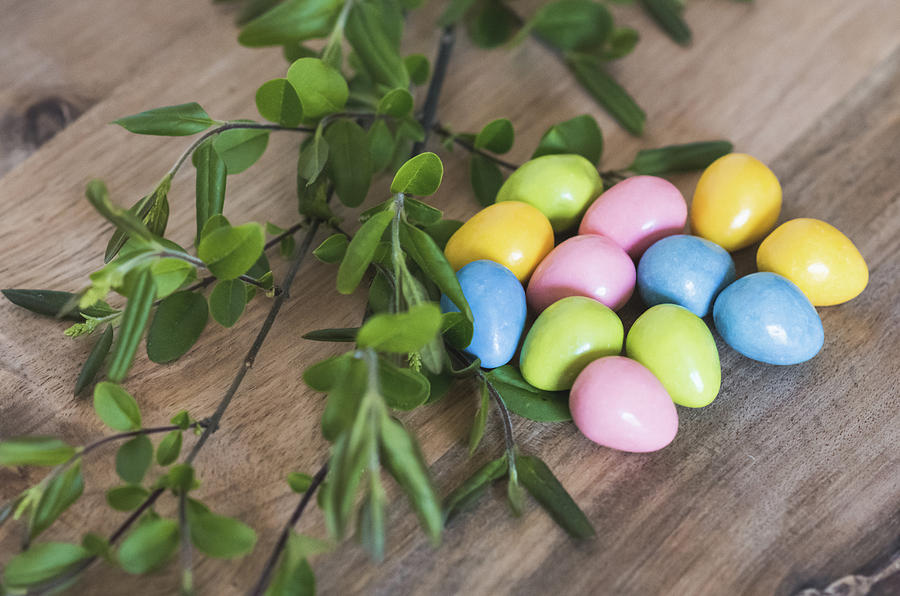  Easter Eggs 20 Photograph by Andrea Anderegg