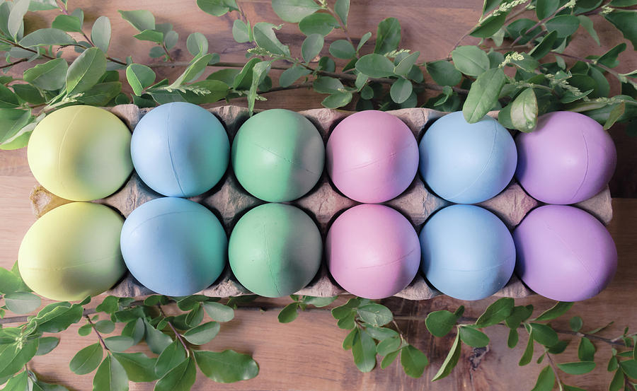 Easter Eggs 22 Photograph by Andrea Anderegg