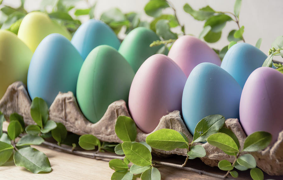Easter Eggs 24 Photograph by Andrea Anderegg