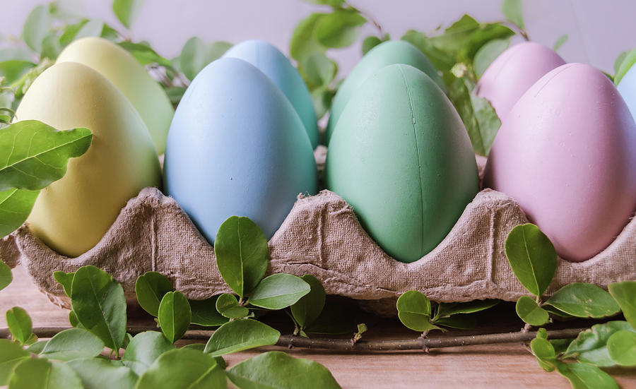 Easter Eggs 25 Photograph by Andrea Anderegg