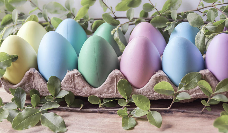 Easter Eggs 26 Photograph by Andrea Anderegg
