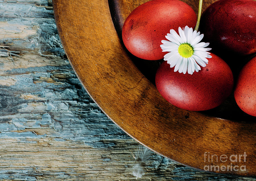 Easter Eggs And Daisy Flower Photograph