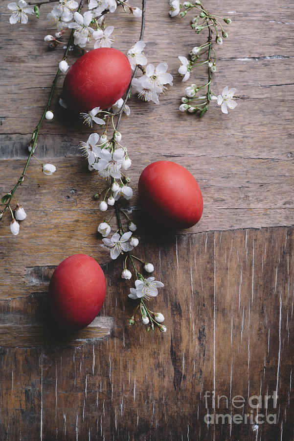 Easter Eggs and spring blossom Photograph by Jelena Jovanovic