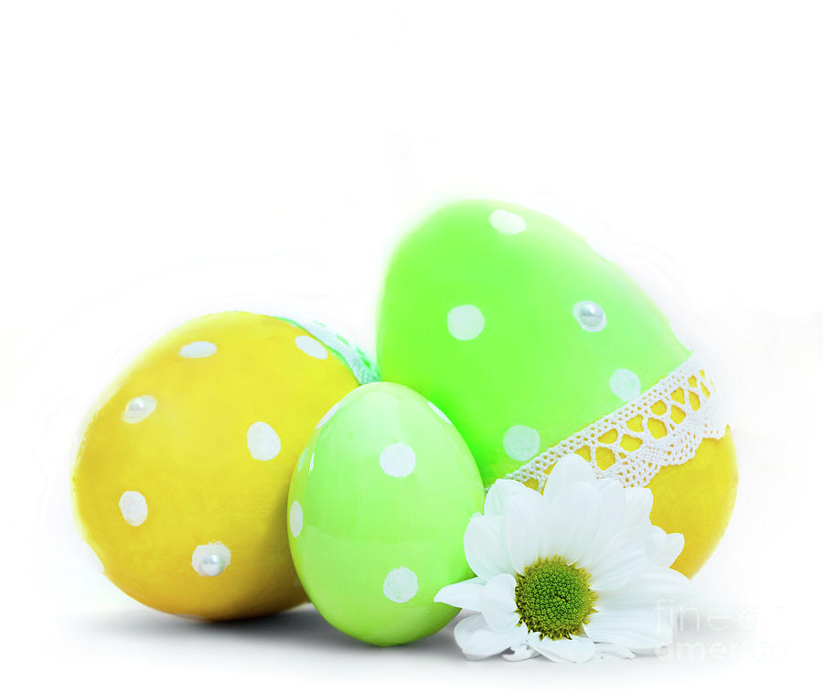 Easter eggs and spring flower decoration on white Photograph by Michal Bednarek