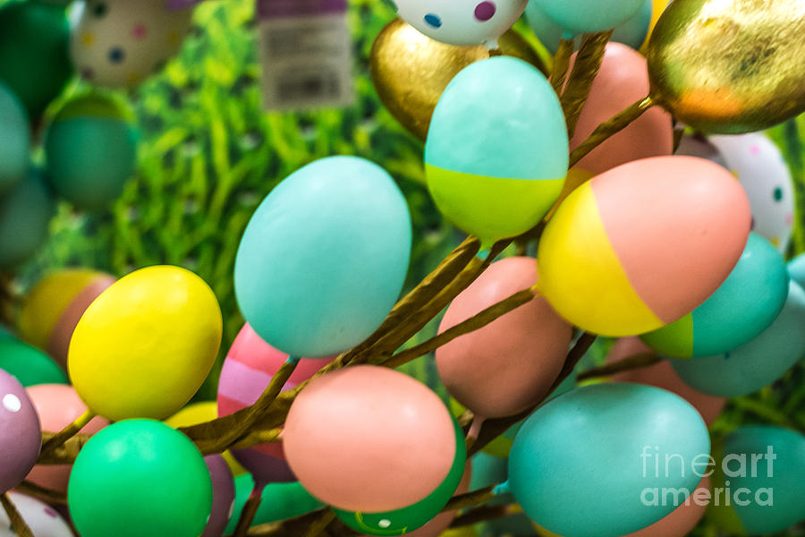 Easter Eggs Photograph by Pamela Williams