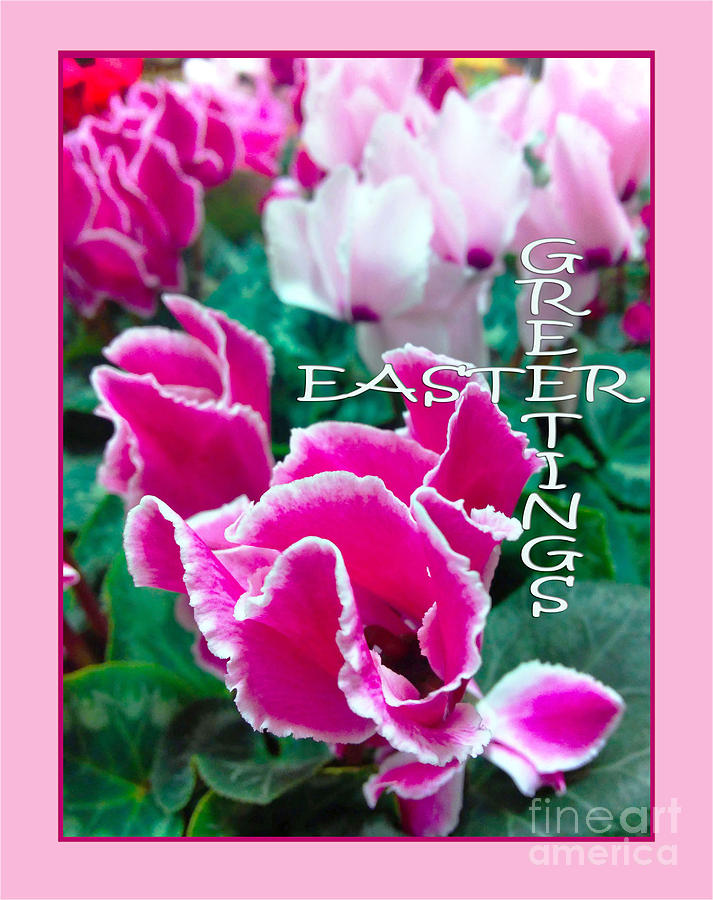 Easter Greetings Photograph by Jasna Dragun