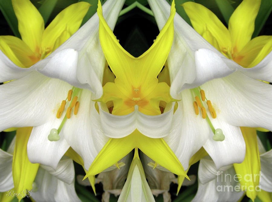 Easter Lilies and Tulips Mirrored Photograph by Rose Santuci-Sofranko