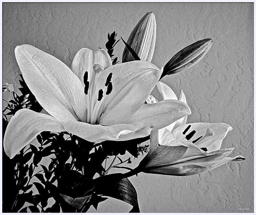 Easter Lilies Photograph by Barbara Zahno