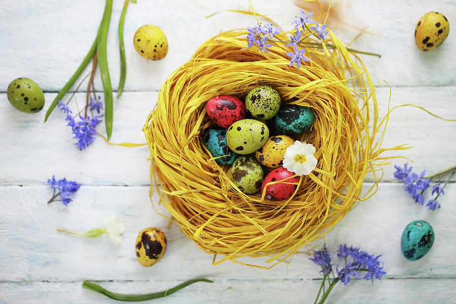 Easter nest Photograph by Iuliia Malivanchuk