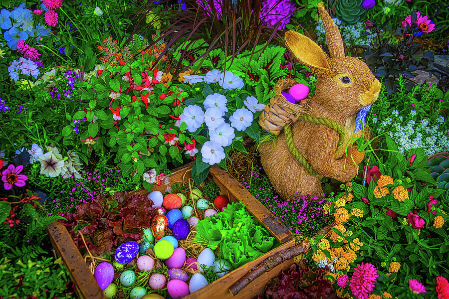 Easter Rabbit In Garden Photograph by Garry Gay