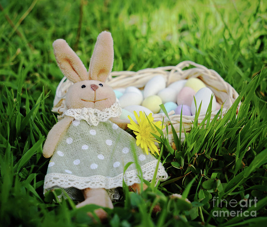 Easter Rabbit Photograph