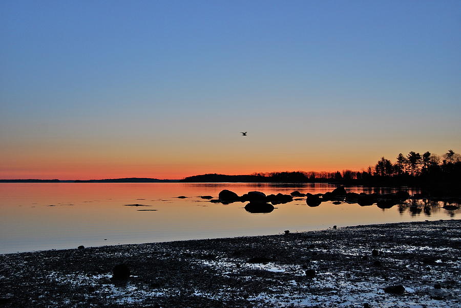 Easter Sunrise, Coast of Maine Photograph by Susan Allen