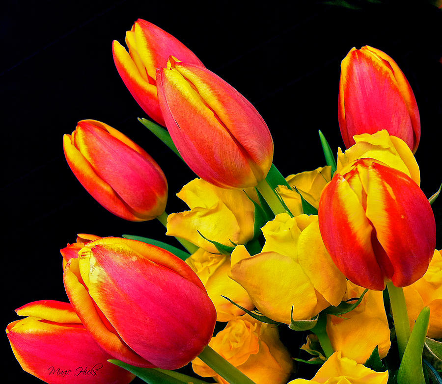 Easter Tulips and Roses Photograph by Marie Hicks