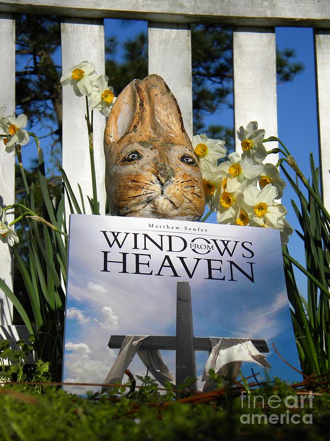 Easter Week Windows From Heaven Photograph by Matthew Seufer