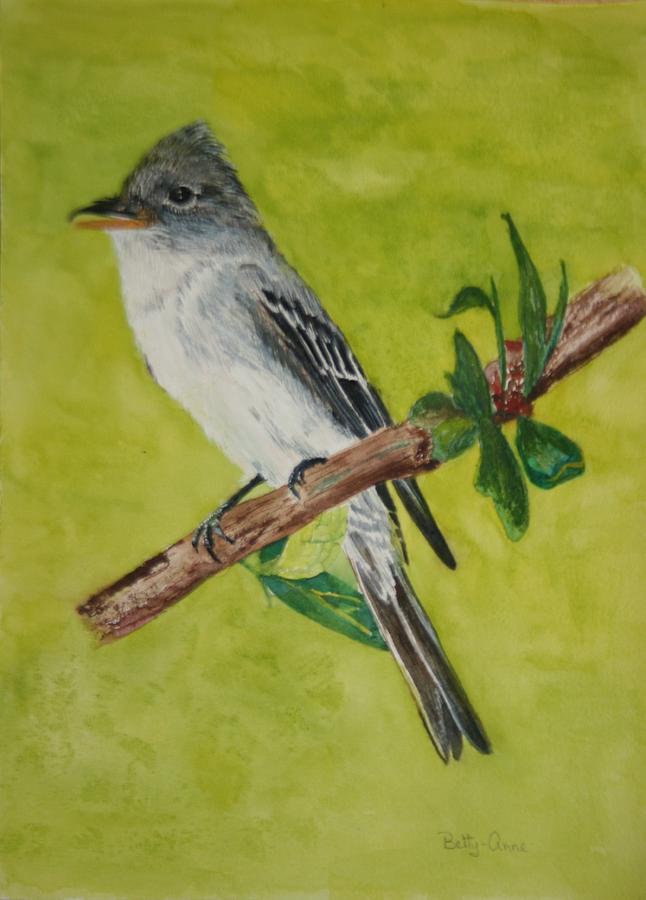 Easterm Wood Pewee Painting by Betty-Anne McDonald