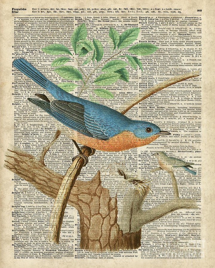 Eastern Blue Bird Digital Art - Eastern Blue Birds by Anna W