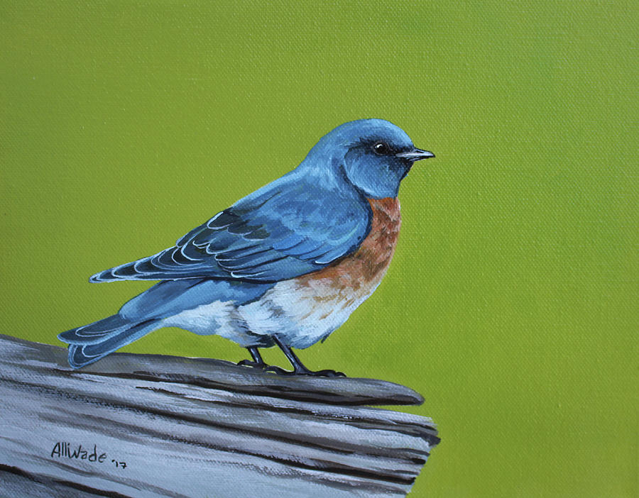 Eastern Bluebird Painting By Allison Wiseman - Fine Art America