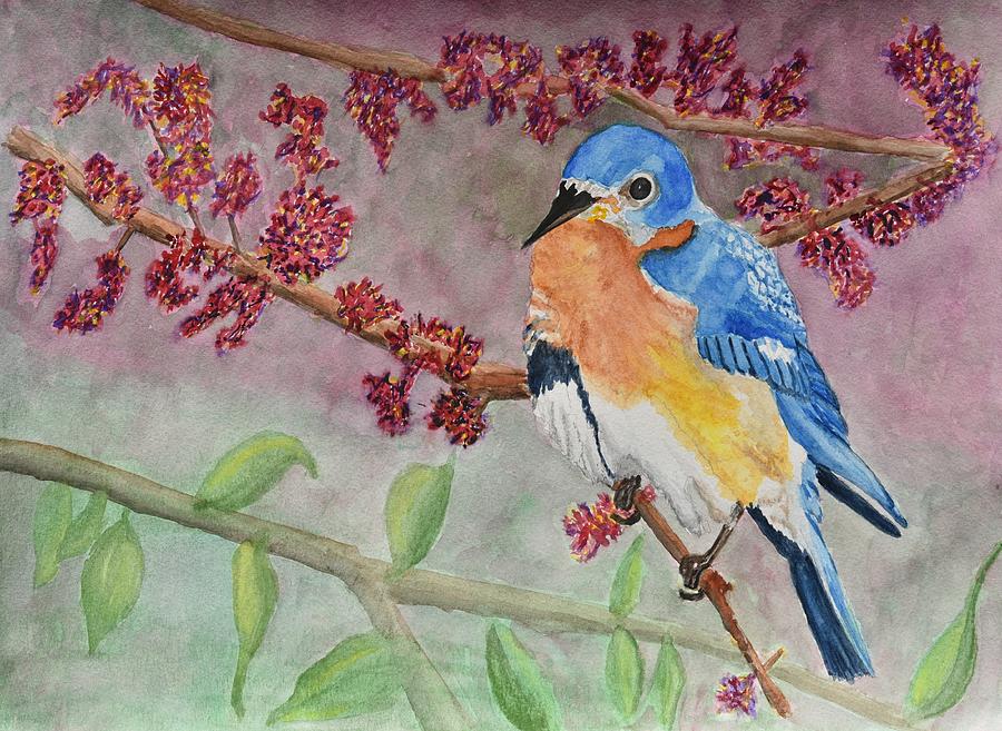 Eastern Bluebird Painting by Linda Brody