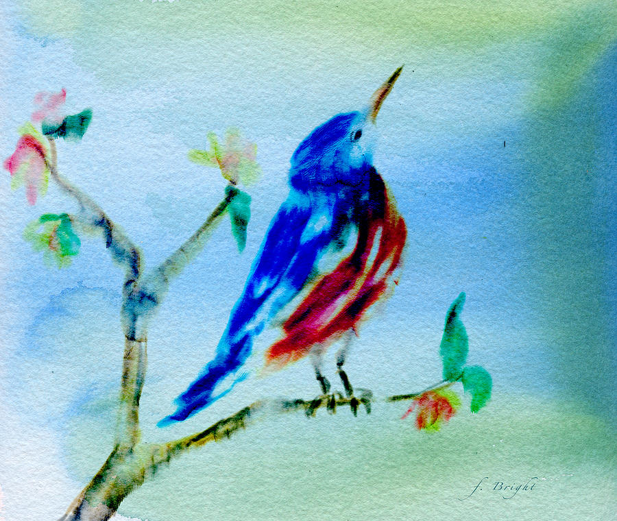 Eastern Bluebird Looks Up Digital Art by Frank Bright