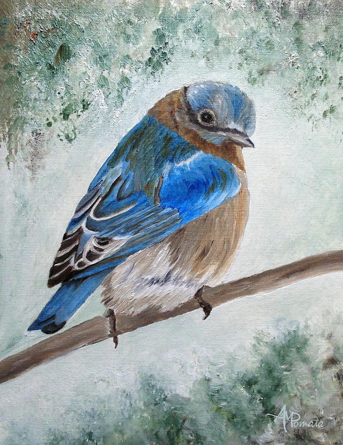 Bluebird Painting - Eastern Bluebird by Angeles M Pomata