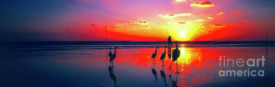 Eastern Florida surf fishing at dawn birds   Photograph by Tom Jelen