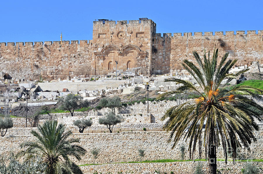 Eastern Gate of Jerusalem Photograph by Lydia Holly