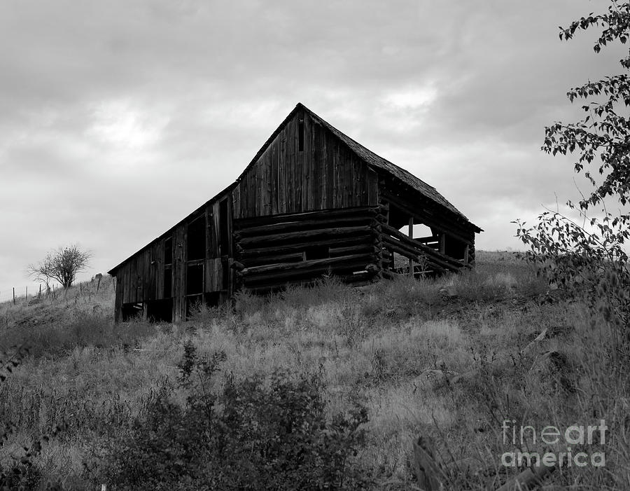 Eastern Oregon Barn Photograph by Denise Bruchman