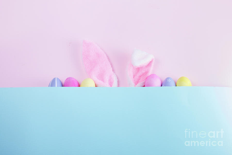 Easter Rabbit Ears Photograph by Anastasy Yarmolovich