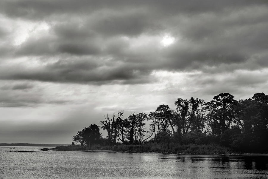 Eastern Shore Sunrise in Black and White Photograph by Don Johnson