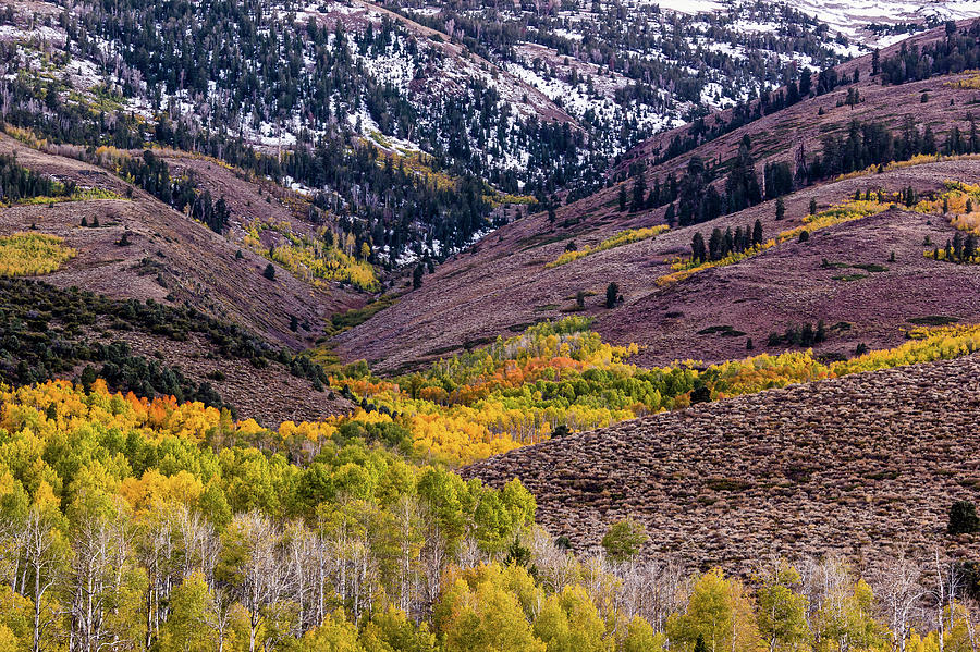 Eastern Sierra In Fall Photograph