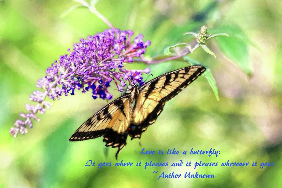 Eastern Tiger Swallowtail Painting With Butterfly Quote  Photograph by Carol Montoya