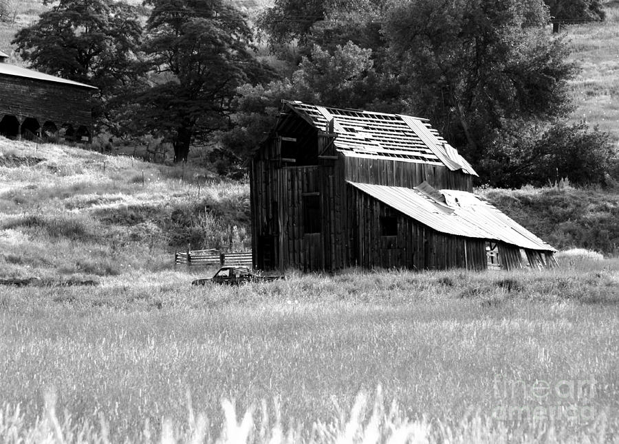 Eastern Washington Barn Photograph by Denise Bruchman
