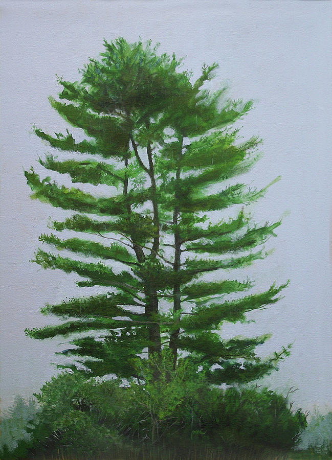 Nature Painting - Eastern White Pine in the Rain by Paul Chapman