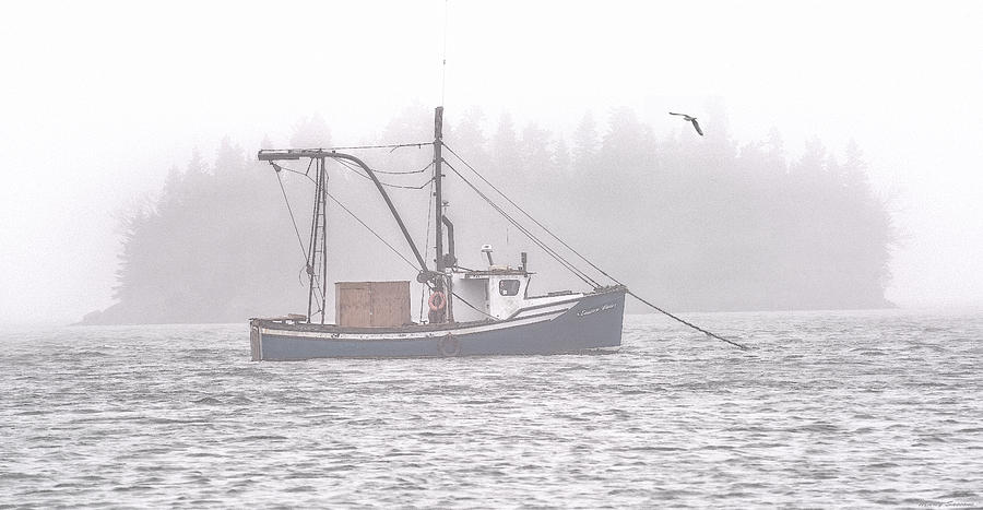 Fishing Boat Photograph - Eastern Winds At Mooring in Fog by Marty Saccone