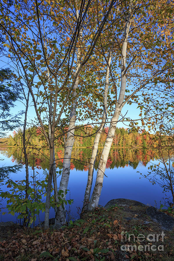 Eastman Pond Grantham New Hampshire Fall Photograph by Edward Fielding