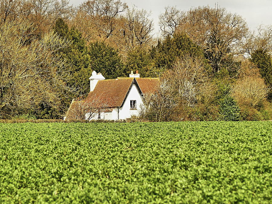 Eastwell Cottage In The Spring Photograph by Richard Denyer