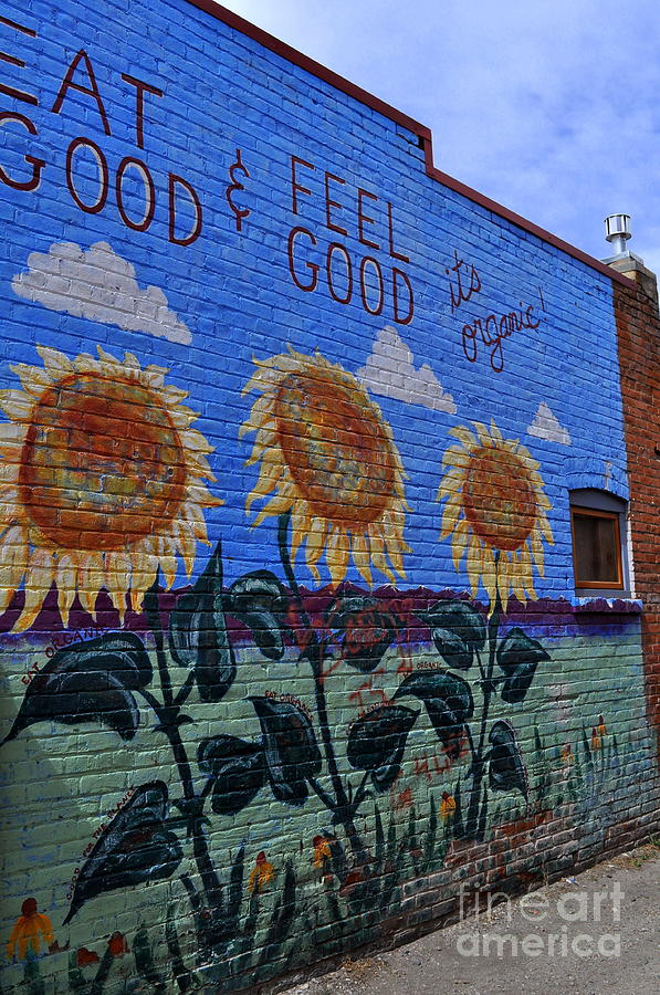 Sunflower Photograph - Eat Good/Feel Good by Anjanette Douglas