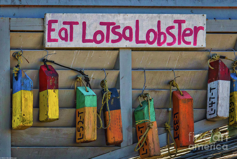 Eat Lotsa Lobster Photograph by Mitch Shindelbower