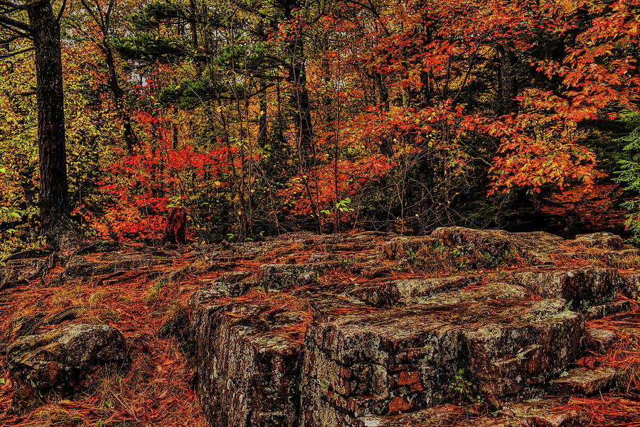 Eau Claire Dells In Autumn Colors Photograph by Dale Kauzlaric